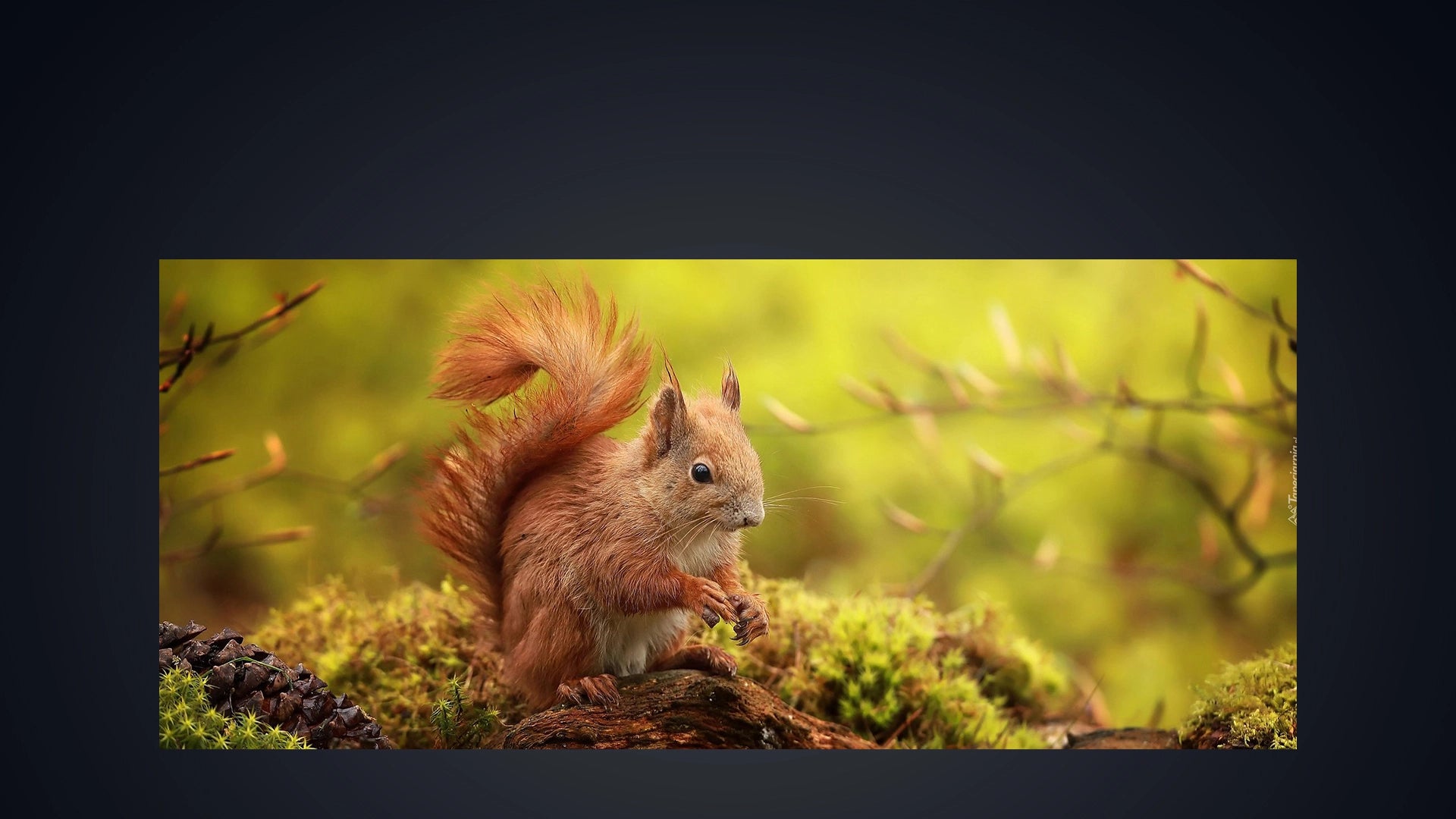 Ulefone Armor X16 RAM